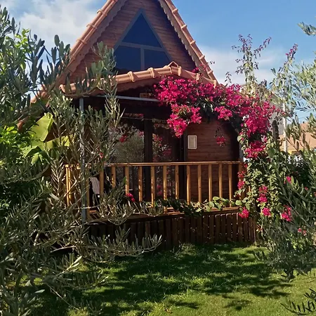 Riviera Evleri 3 Apartment