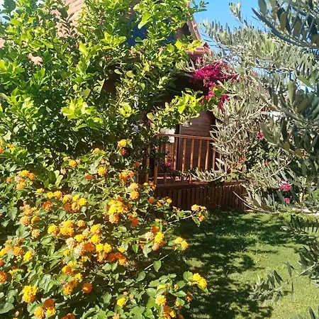 Riviera Evleri 3 * Demre