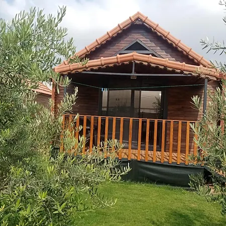 Riviera Evleri 3 *