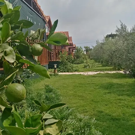 Apartamento Riviera Evleri 3 *
