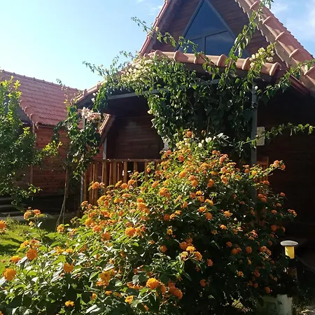 Riviera Evleri 3 Apartamento *