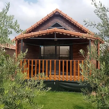 Apartamento Riviera Evleri 3 *