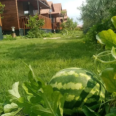 Riviera Evleri 3 *