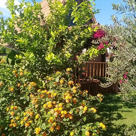 Riviera Evleri 3 *